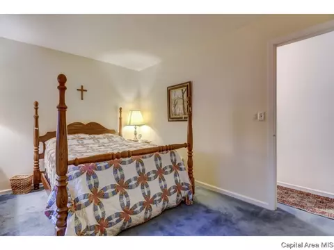 136 Cypress Point Dr, Springfield, IL 62704 photo 19