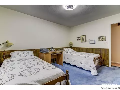 136 Cypress Point Dr, Springfield, IL 62704 photo 22