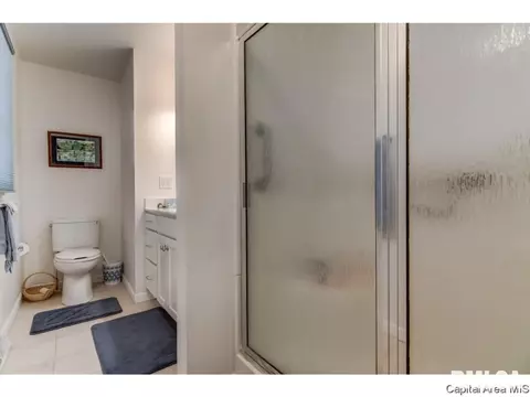 136 Cypress Point Dr, Springfield, IL 62704 photo 15