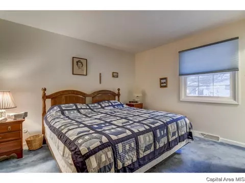 136 Cypress Point Dr, Springfield, IL 62704 photo 13