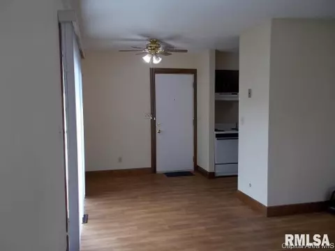 467 S Durkin, Springfield, IL 62702 photo 10
