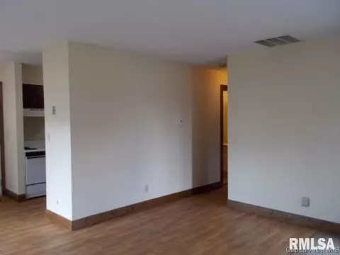 467 S Durkin, Springfield, IL 62702 photo 3