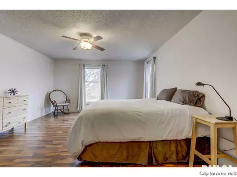 3316 Ivyton Dr, Springfield, IL 62704 photo 34
