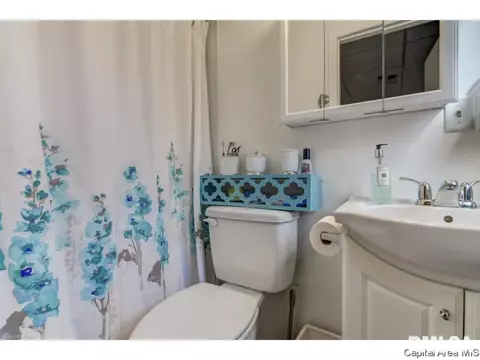 2417 Cahokia Dr, Springfield, IL 62702 photo 30