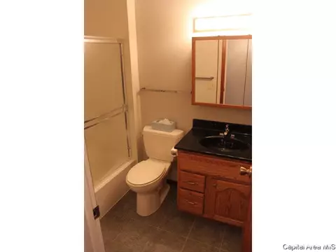 33 Locksley Ln, Springfield, IL 62704 photo 11