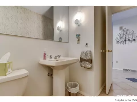 2724 Timber Pointe Dr, Springfield, IL 62702 photo 16