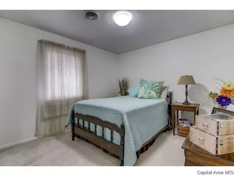2724 Timber Pointe Dr, Springfield, IL 62702 photo 25