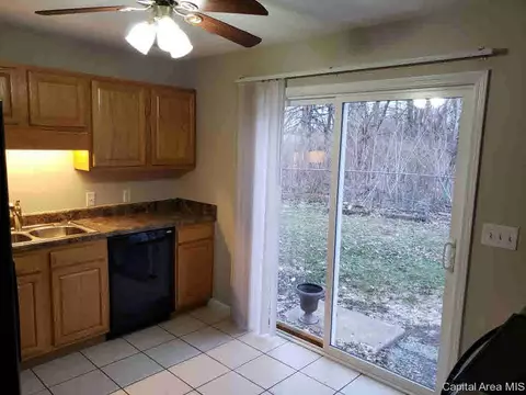 9 Goodwin, Springfield, IL 62704 photo 8