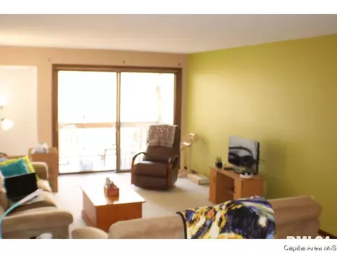 2008 Jeanette Ln UNIT D, Springfield, IL 62702 photo 2
