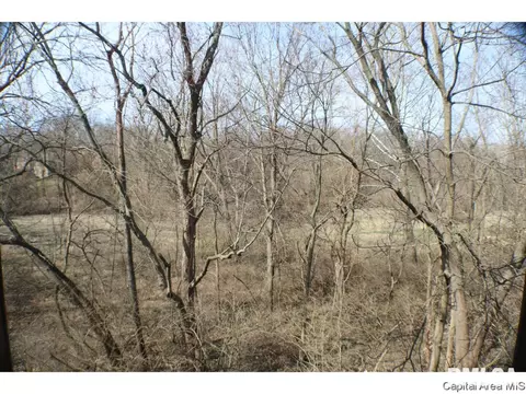 2008 Jeanette Ln UNIT D, Springfield, IL 62702 photo 20