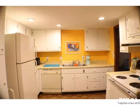 2008 Jeanette Ln UNIT D, Springfield, IL 62702 photo 9