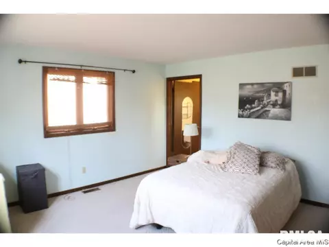 2008 Jeanette Ln UNIT D, Springfield, IL 62702 photo 12