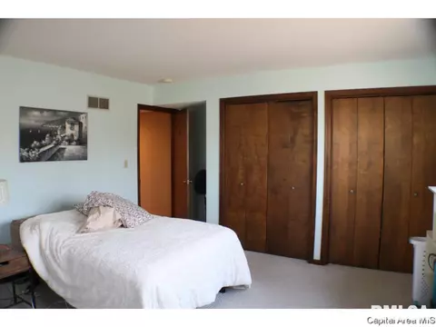 2008 Jeanette Ln UNIT D, Springfield, IL 62702 photo 15