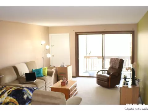 2008 Jeanette Ln UNIT D, Springfield, IL 62702 photo 4