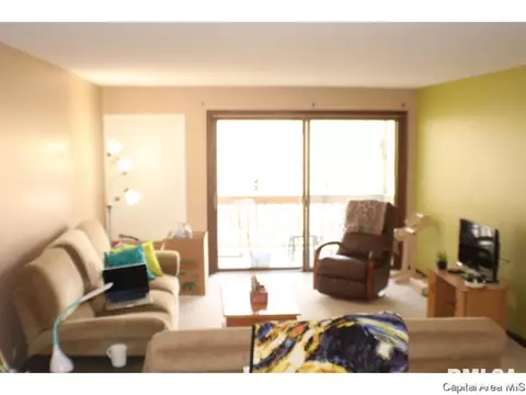 2008 Jeanette Ln UNIT D, Springfield, IL 62702 photo 3