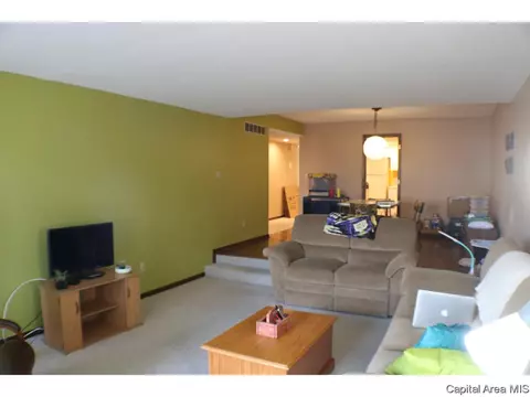 2008 Jeanette Ln UNIT D, Springfield, IL 62702 photo 6