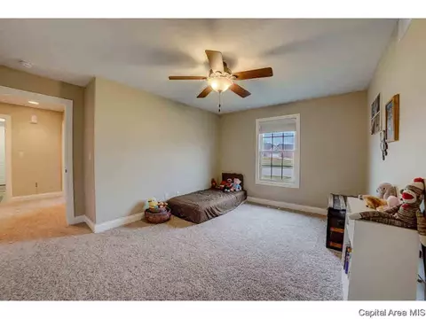 2711 Johnathan, Springfield, IL 62711 photo 25