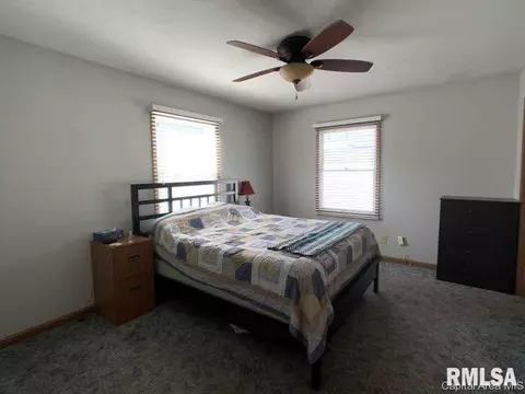 117 N Parker Ave, Springfield, IL 62702 photo 10