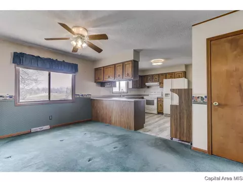 4 Timbercrest Dr, Sherman, IL 62684 photo 7