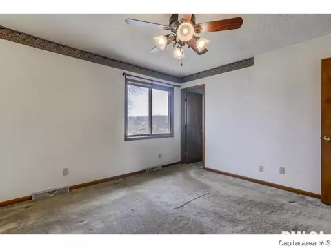 4 Timbercrest Dr, Sherman, IL 62684 photo 15