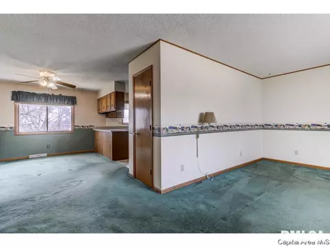 4 Timbercrest Dr, Sherman, IL 62684 photo 4