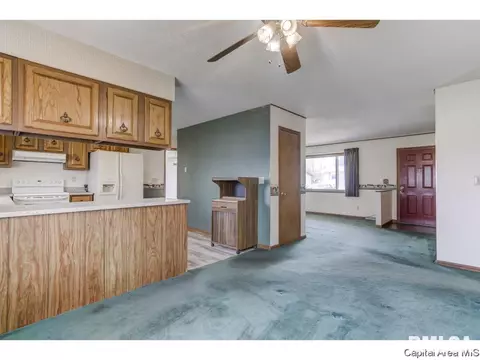 4 Timbercrest Dr, Sherman, IL 62684 photo 8