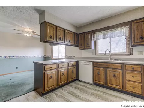 4 Timbercrest Dr, Sherman, IL 62684 photo 13