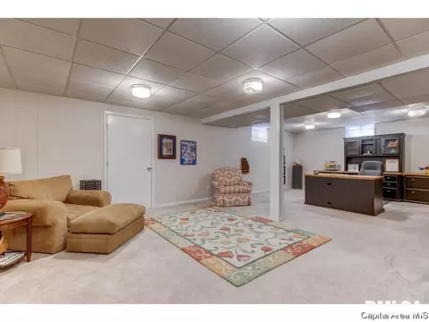 2202 Augusta Dr, Springfield, IL 62704 photo 28