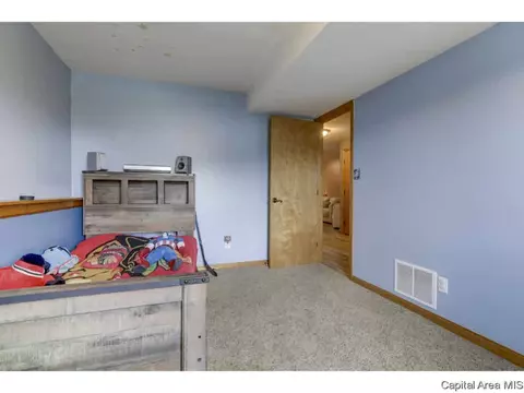 108 Resina Dr, Springfield, IL 62703 photo 19