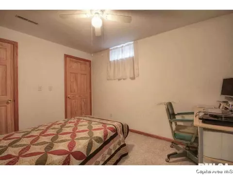 113 Walnut Vly, Springfield, IL 62707 photo 32