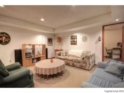 113 Walnut Vly, Springfield, IL 62707 photo 29