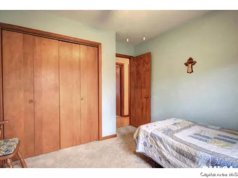 113 Walnut Vly, Springfield, IL 62707 photo 21