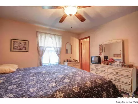 113 Walnut Vly, Springfield, IL 62707 photo 23