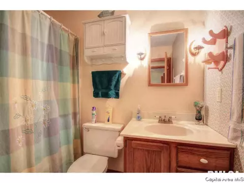 113 Walnut Vly, Springfield, IL 62707 photo 20