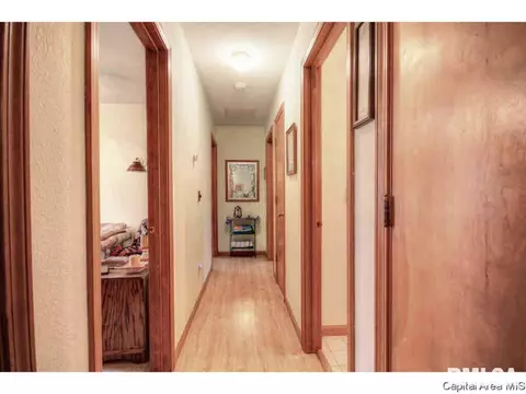 113 Walnut Vly, Springfield, IL 62707 photo 17