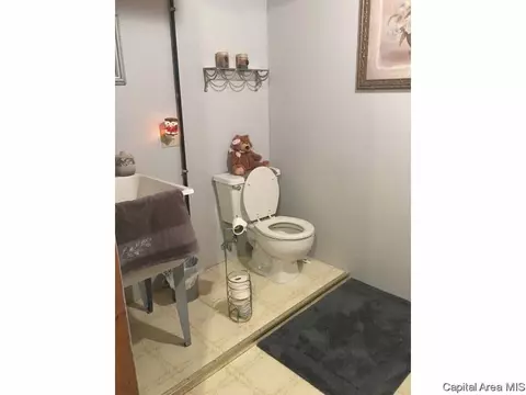 2304 Chinchilla Ln, Springfield, IL 62702 photo 20