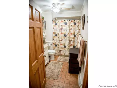 2304 Chinchilla Ln, Springfield, IL 62702 photo 11