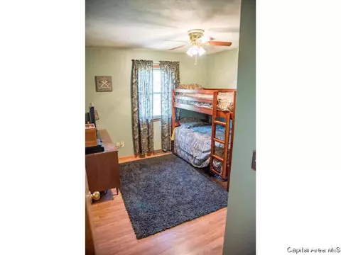 2304 Chinchilla Ln, Springfield, IL 62702 photo 13