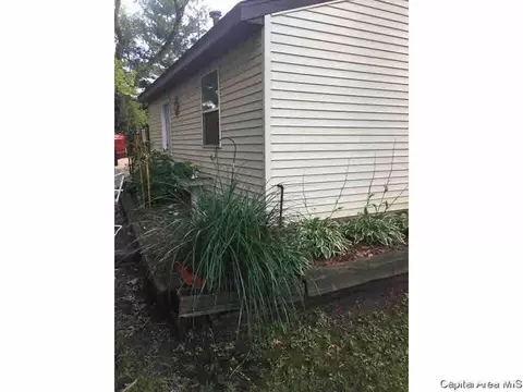 2304 Chinchilla Ln, Springfield, IL 62702 photo 28