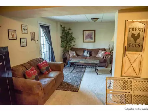 2304 Chinchilla Ln, Springfield, IL 62702 photo 19