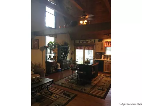 2304 Chinchilla Ln, Springfield, IL 62702 photo 6