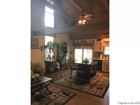2304 Chinchilla Ln, Springfield, IL 62702 photo 9