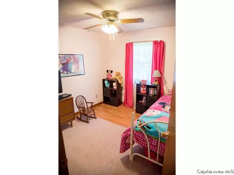 2304 Chinchilla Ln, Springfield, IL 62702 photo 10