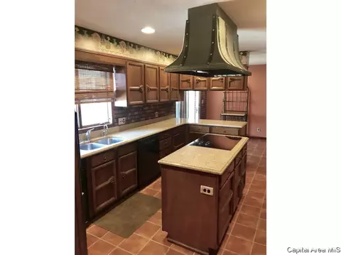 1900 Jackson Ave, Beardstown, IL 62618 photo 10