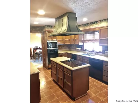 1900 Jackson Ave, Beardstown, IL 62618 photo 9