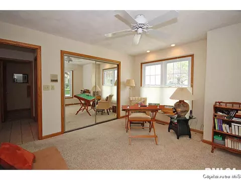 36 Chimney View Ln, Springfield, IL 62707 photo 18