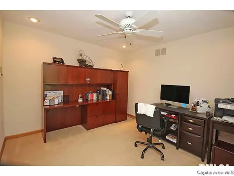 36 Chimney View Ln, Springfield, IL 62707 photo 23
