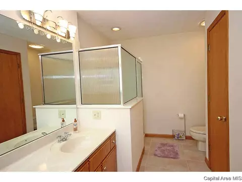 36 Chimney View Ln, Springfield, IL 62707 photo 16