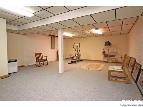 36 Chimney View Ln, Springfield, IL 62707 photo 30