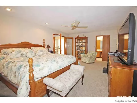36 Chimney View Ln, Springfield, IL 62707 photo 13